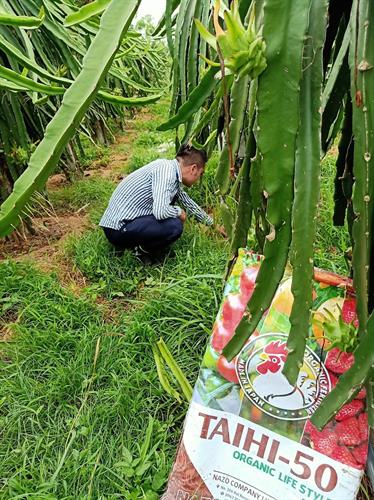 Success Story #1: Dragon Fruit