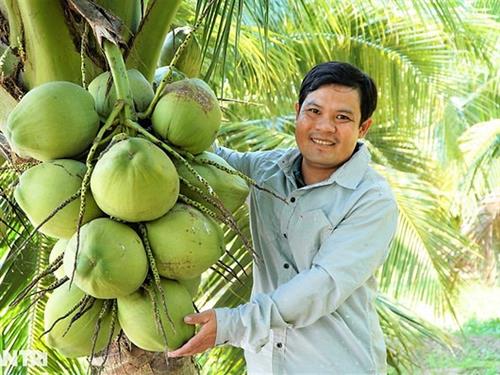 Overview of the Food Value Chain of Ben Tre