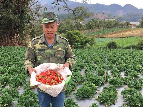 Overview of the food value chain of Son La province